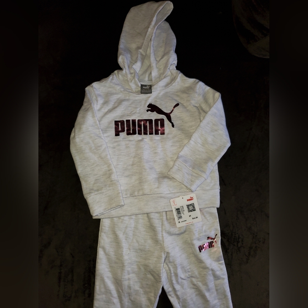 Puma Gray Hoodie and Sweatpants Set